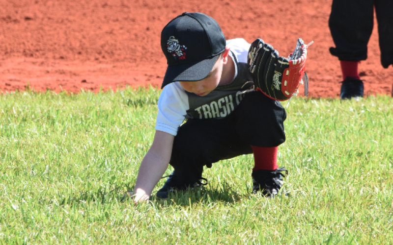 Pictured is J.B. Seawright as he goes to collect more grass to add to his collection in his glove.