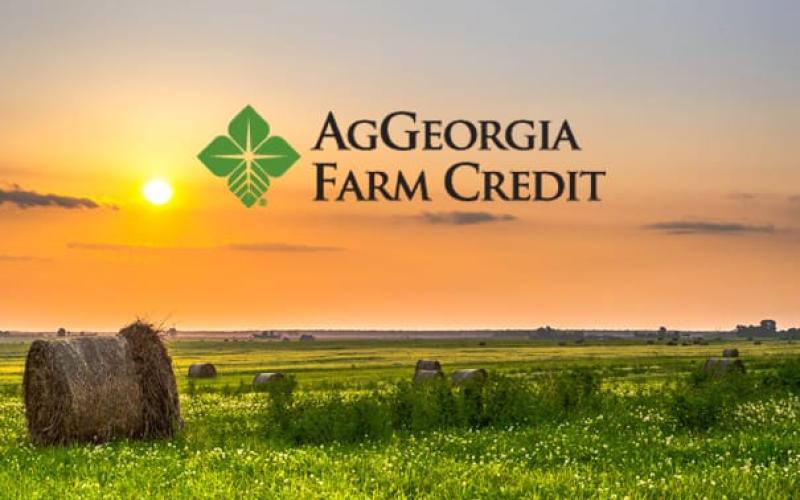 AgGeorgia Farm Credit