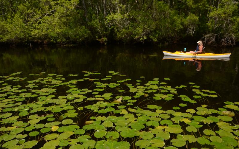 From small flatwater streams in South Georgia to raging whitewater runs in North Georgia, the public’s ability to access and recreate on the state’s streams could be determined by the recommendations made by the special House Study Committee on Navigable Streams.
