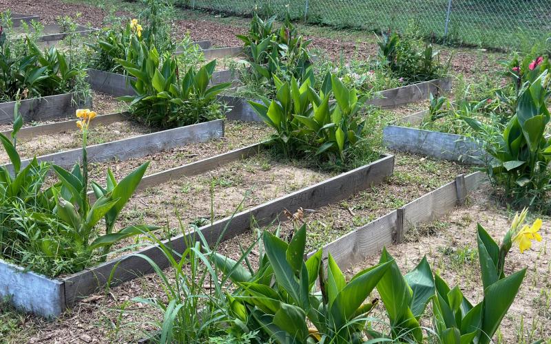 The community garden located in Hartwell’s Rome neighborhood does not currently have running water, which is a top priority for the garden’s volunteers.