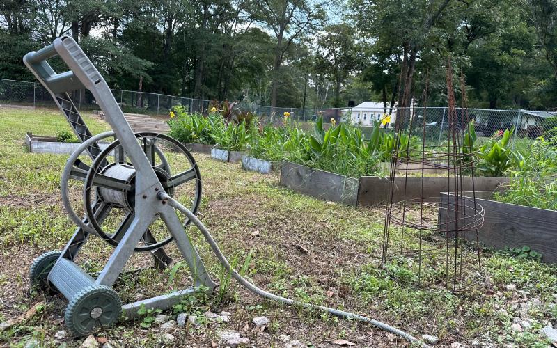The garden currently has a few vegetables and flowers planted. The lack of running water limits how much the volunteers can plant (empty flower beds can be seen in the distance). The garden’s volunteers seek more volunteers, as well as donations and gardening advice.