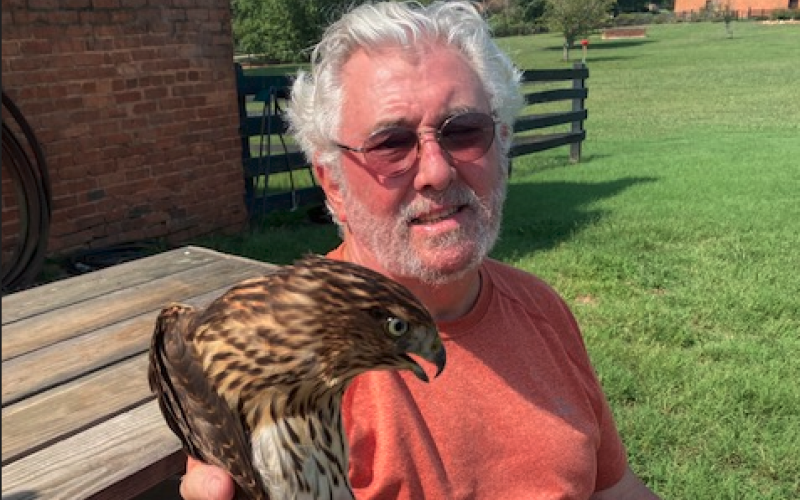 Joel Volpi knew exactly how to capture the Cooper’s hawk—unharmed—that refused to exit our farm’s storage/shop barn.