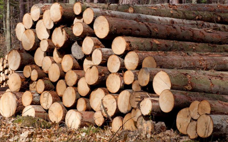 The demand for timber is on the decline. As a result, prices for wood are down to levels not seen since the 1970s.