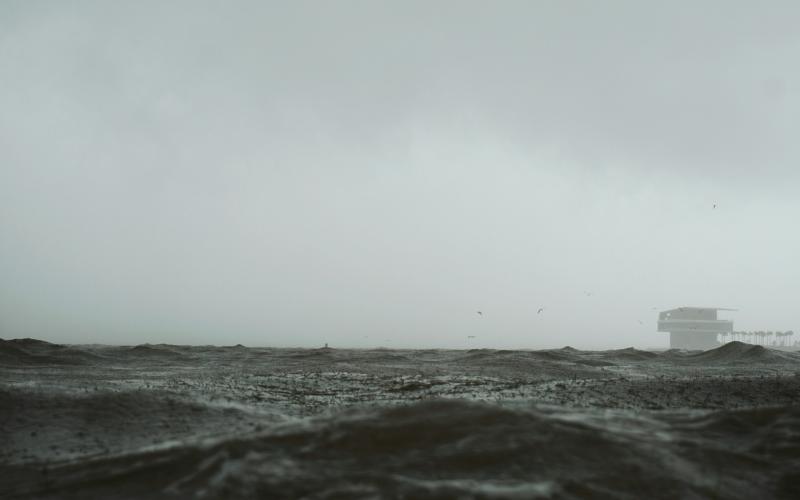 Photo by The Tampa Bay Estuary Program