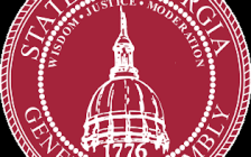 State of Georgia General Assembly