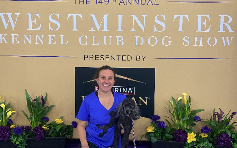 JohnieSue Thurman, pictured with her dog, Finn, have had the opportunity to compete at the Westminster Kennel Club Dog Show not once, but twice. Finn has achieved a double qualifying run during both shows, which Thurman said is the highest achievement.