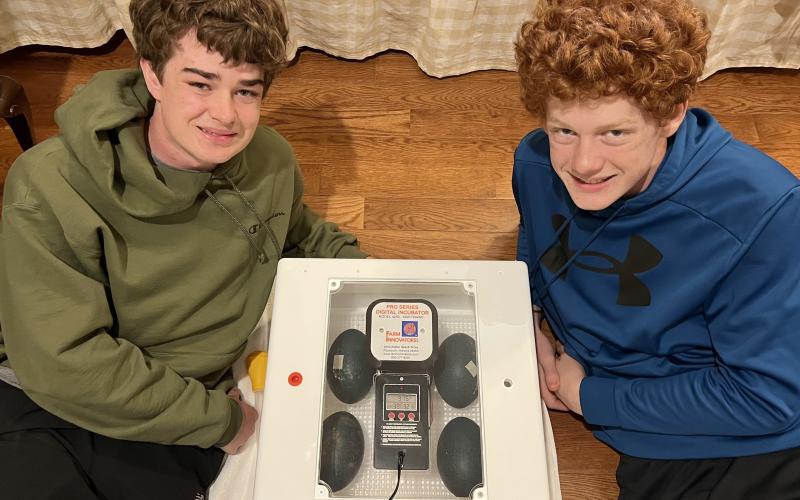 Five emu eggs, in a digitized incubator, are under the watchful eyes of grandsons William and Fenn NeSmith. The first hatchlings are due around Easter. (Photo/Heather NeSmith)