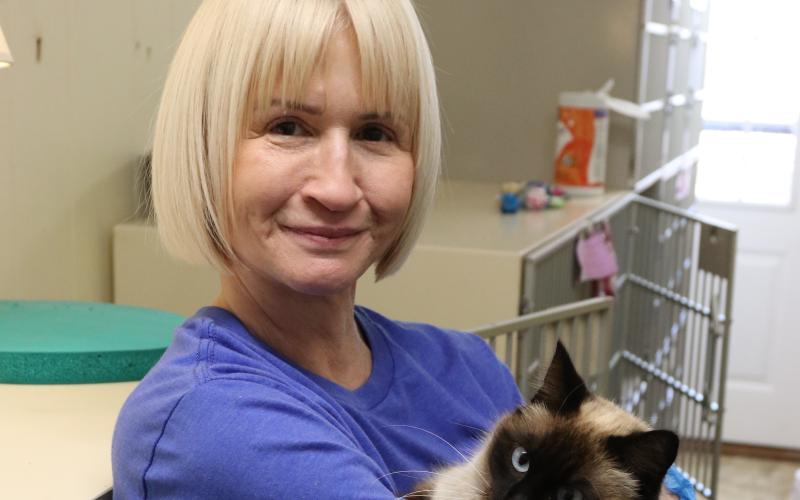 Dee Porter, a Hart County Humane Society volunteer, holds Espresso, a suspected pregnant cat, on Monday. Espresso’s pregnancy will be confirmed on Wednesday via ultrasound, but she shows physical signs of pregnancy with her enlarged, stiff belly. (Photo/Adriana Cascio)