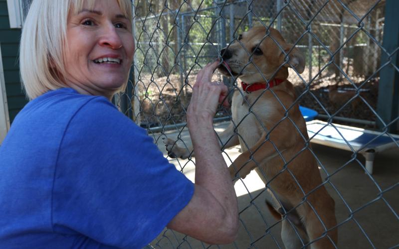 Dee Porter, an HCHS volunteer, plays with Ranger, a three-month-old puppy, through a fence on Monday. HCHS has limited space for canines and relies on volunteers to foster, walk and care for dogs in its care. (Photo/Adriana Cascio)