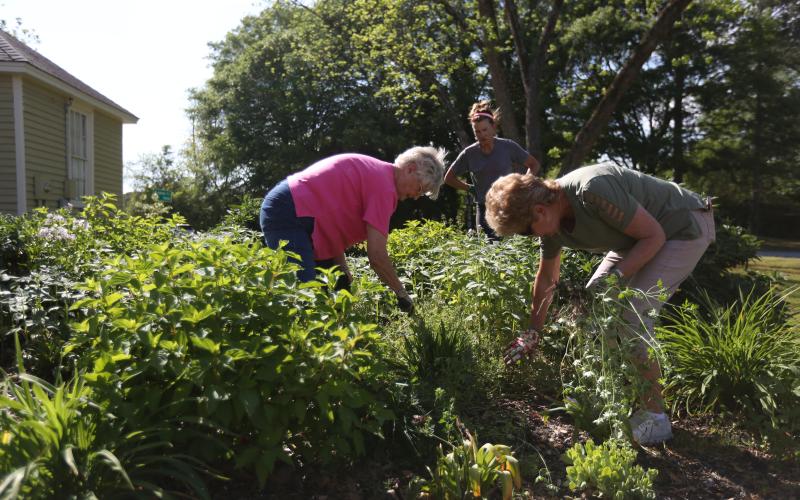 Pine Tree Garden Club members (L-R) Sandra Brown, Donna Grant and Peggy Tucker work on the pollinator garden outside of the Hart County Historical Museum April 21. (Photo/Rose Scoggins)