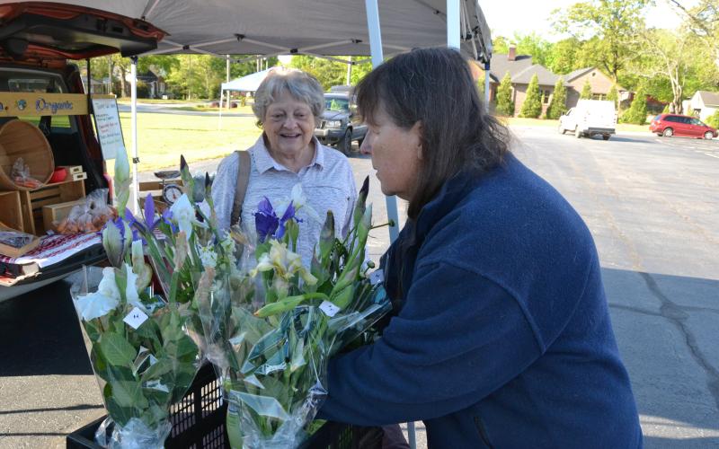 June Clark (left) picking out a bouquet of bearded irises, daffodils and spearmint from Chris Albertin (right), owner of Menagerie Acres. Clark is a market regular and said she loves Albertin’s unique bouquets. (Photo/Adriana Cascio)