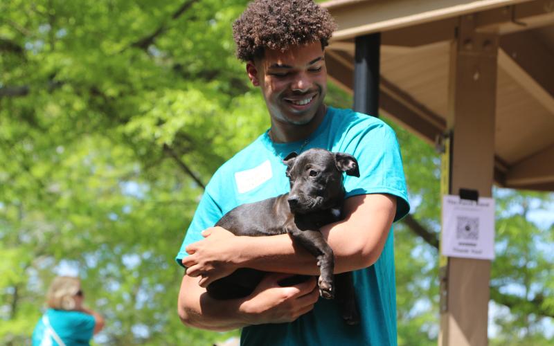 Devin Blakely, first-time event volunteer, holding Zoie, a five-month-old mixed breed, at the 2025 Dam Dog Walk. Zoie is available for adoption at the Northeast Georgia Animal Shelter. (Photo/Adriana Cascio)