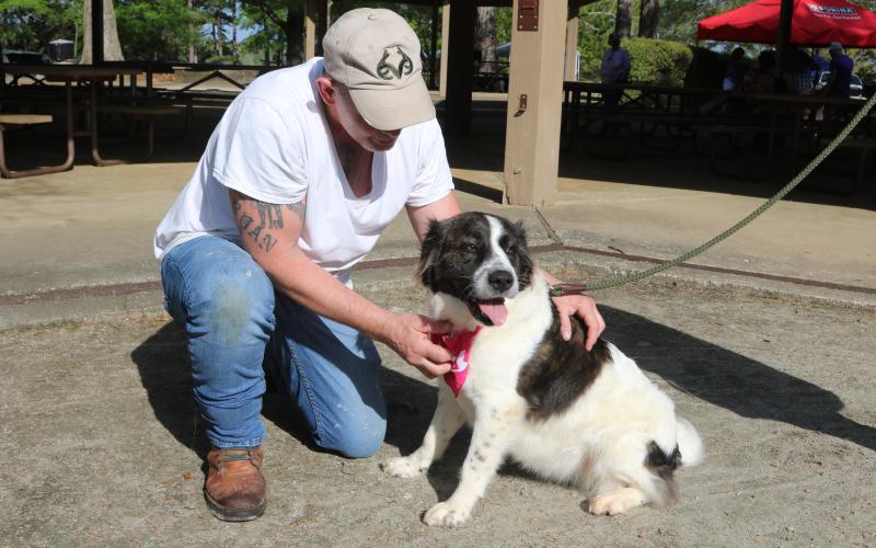 Chris Fleming, event attendee, petting Oreo, a one year old Aussie Shepherd mix, at the 2025 Dam Dog Walk. Oreo is the Hart County Humane Society's newest addition and is available for adoption. (Photo/Adriana Cascio)
