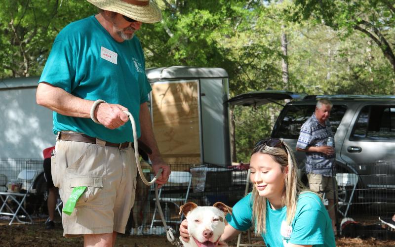 Gary White, event volunteer, holding Teechee, a mutt named after the Cateechee Golf Course where she was found, while getting pet by Summer Albright, event volunteer, at the 2025 Dam Dog Walk. Albright said Teechee, who is available for adoption at the Hart County Humane Society, is a sweet dog and deserves to find a good home. (Photo/Adriana Cascio)
