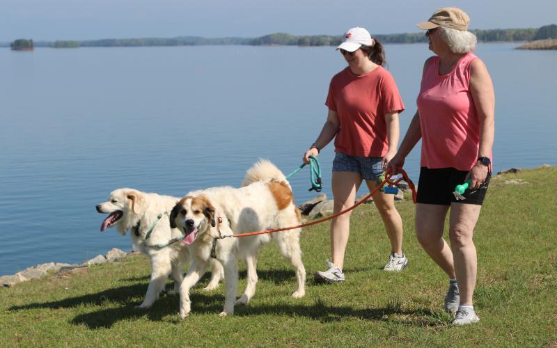 (L-R) Reggie and Monty, great Pyrenees mix brothers, walking with Andrea Pendley and Cindy Pendley at the 2025 Dam Dog Walk. (Photo/Adriana Cascio)