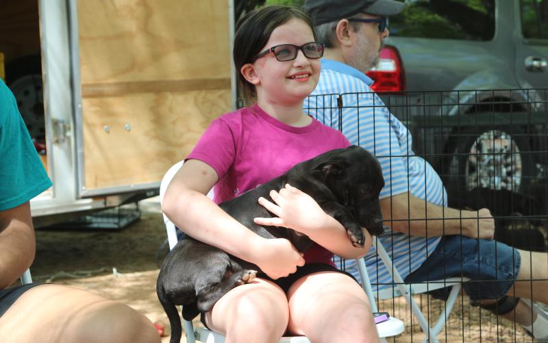 Event attendee holding Zoie, a five-month-old mix breed, at the 2025 Dam Dog Walk. Zoie is available for adoption at the Northeast Georgia Animal Shelter. (Photo/Adriana Cascio)
