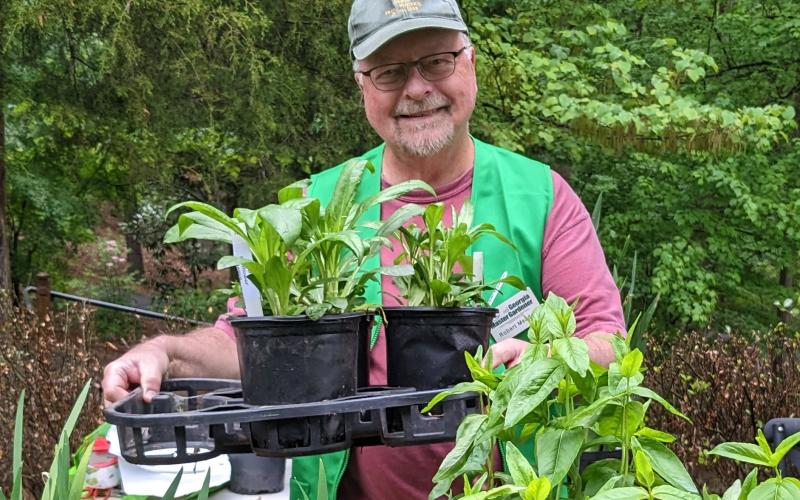 Native plants, many grown by local master gardener and longtime HCBG volunteer, Robert Meaders, will be featured at the garden’s plant sale on April 12. (Photo submitted by Lorin Sinn Clark)