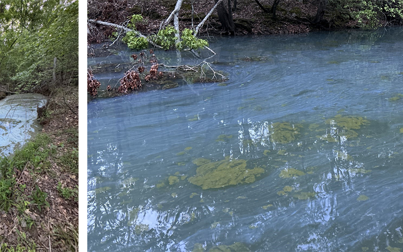 According to an Algal Bloom Monitoring map (left) from the South Carolina Department of Environmental Services, the entirety of Lake Hartwell is under an “HAB Watch” after a harmful algal bloom was confirmed in several locations on the South Carolina side of the lake. The square shapes on the map represent areas with “HAB reported sightings.” Right, HAB can appear like bright green spilled paint or blue-green discoloration of the water. (Photo courtesy of the South Carolina Department of Environment)