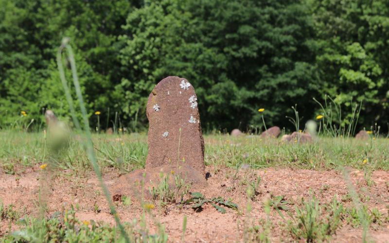 A bare stone sits in the grass of Harmony Grove cemetery, marking where a slave has been buried. The cemetery is littered with these stones, covering more than half of the land. (Photo/Adriana Cascio)