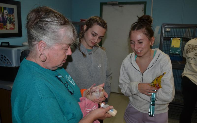 Lexi Henry and Lissette Valencia-Garcia watch as Annette Randazzo bottle feeds Colbert, a 5-day-old kitten. (Photo/Adriana Cascio)