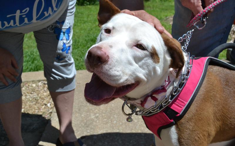 TeeChee was all smiles during her adoption party. (Photo/Adriana Cascio)