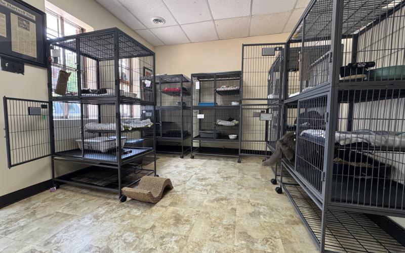 The Hart County Humane Society has dozens of kennels located around the facility, each housing 1-2 adult cats, or litters of kittens. The humane society is currently housing over 200 cats and is at max capacity. (Photo/Adriana Cascio)