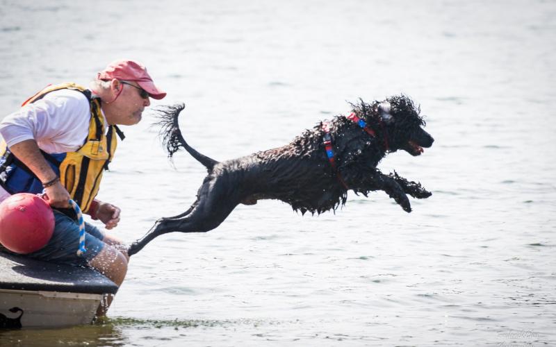 The United Sunshine States Portuguese Water Dog Club (USSPWD), led by trainers Tom and Judy Leather, will host its sanctioned water trials at Lake Hartwell Saturday, June 21, and Sunday, June 22, from 8:30 a.m. to 4:30 p.m. at Hartwell Lakeside Park located at 330 Hart State Park Road. (Submitted by Judy Leather)