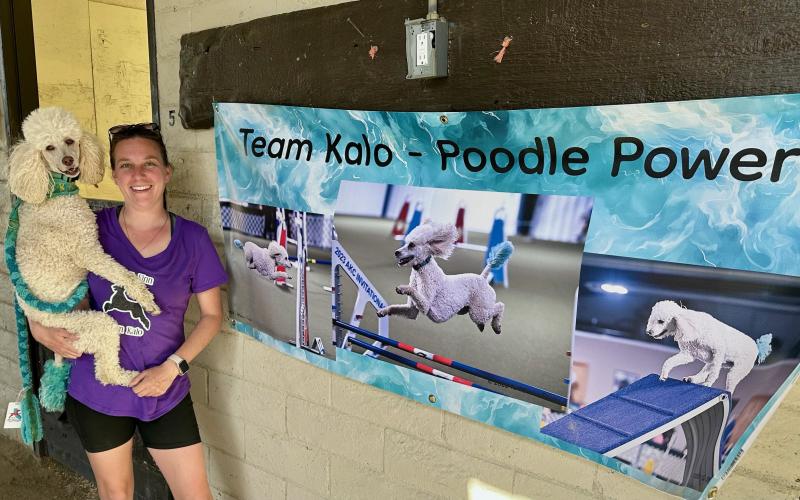 Poodles Finn (left) and Kalo (right), alongside owner JohnieSue Thurman, competed in the American Kennel Club’s (AKC) 2026 National Agility Championship in Temecula, California, March 20 through March 22. Photo submitted by JohnieSue Thurman.