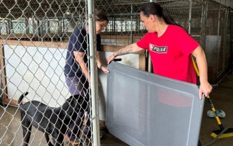 Associates from Nestlé Purina’s Hartwell factory rolled up their sleeves on Monday, June 8, to support the Hart County Animal Rescue as part of the company’s 25th annual Purina Cares Day, a nationwide day of service dedicated to giving back to communities. Photos submitted by Karli Thomas.