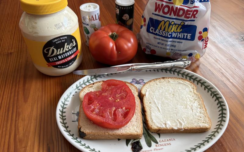 A home-grown tomato sandwich is a celebration of summer. All you need is a slice of juicy tomato big enough to cover a piece of white bread, a slathering of Duke’s mayonnaise and sprinkles of salt and pepper. And if you like BLTs, by all means, add bacon and lettuce. Photo by Dink NeSmith.