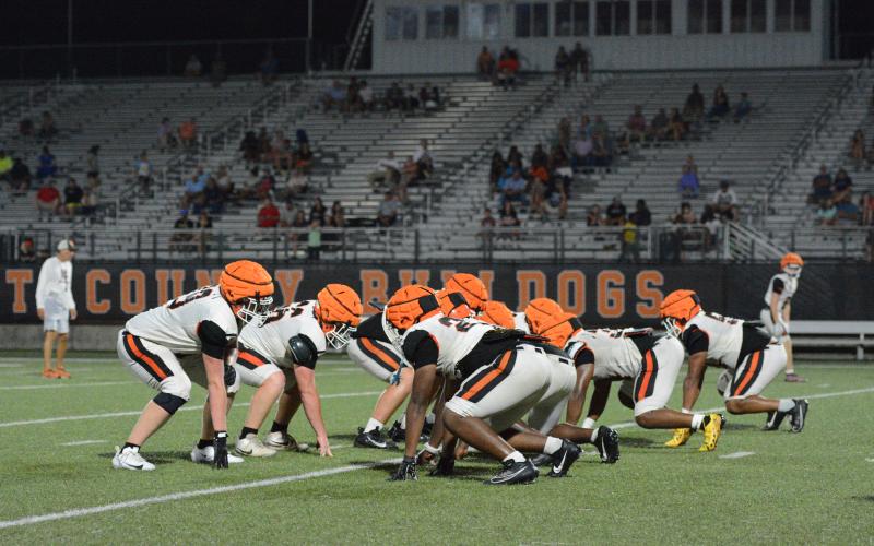 Bulldog Nation came out to Herndon Stadium July 30 to get a sneak peek of what the Hart County High School and Middle School Bulldogs would look like this upcoming season. All fans who attended brought either powdered laundry detergent or cases of water bottles for the teams to use during the season. HCHS now prepares to host Oglethorpe County Aug. 7 for the first of two scrimmages with kickoff set for 7:30 p.m. Photo by Benjamin London.