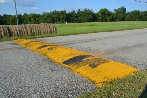A group of speed bumps on East Main Street in Bowersville is raising the ire of some local folks.