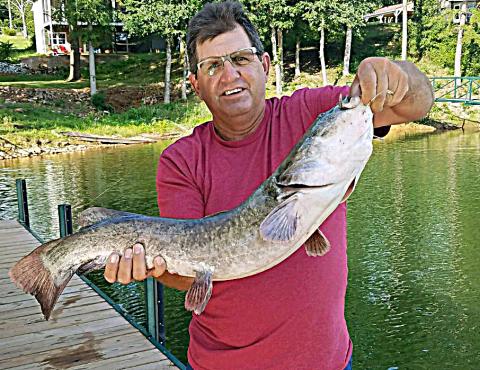Frank Gunder reeled in this 15-lb channel catfish from his dock in a cove not far from Hartwell Marina on July 23. Submit your latest catch to sports@thehartwellsun.com.