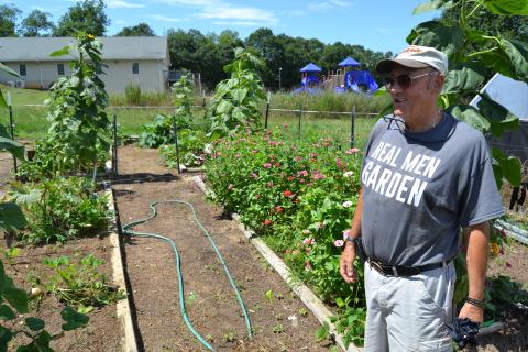Hart County Community Garden leader Frank Spenger looks over his plots at the garden this past summer. 