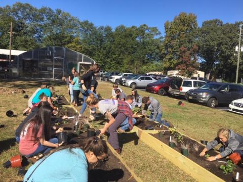 Hart County students and representatives from the State Botanical Gardens plant native plants recently.