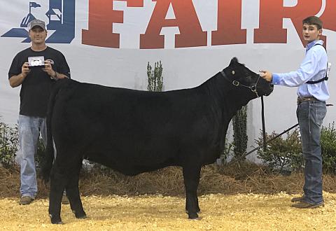 Photo provided — Livestock like this, with which Hart County Middle School student Trey Chafin, right, won 8th Grade Beef Cattle Showmanship at the Georgia National Fair, will come to Hartwell several times for shows during the next month at the AgriScience Center..