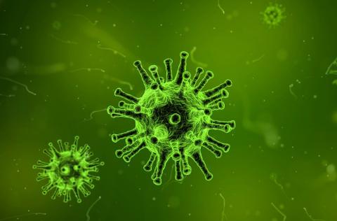 The flu shot is crucial this year as the flu hits hard.