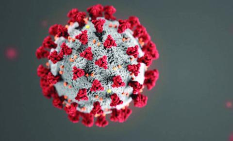 Coronavirus (COVID-19) 
