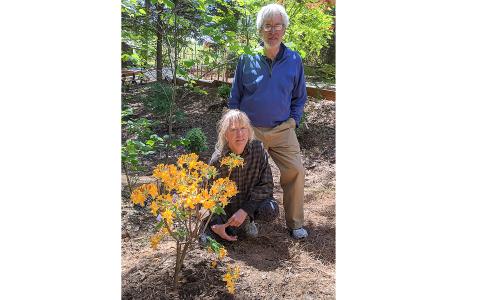 Photo submitted — Gretchen Torrence and her husband Larry Torrence pose next to a Kelsey’s Glow variety, one of the 30 native azaleas in The Spirit Garden.