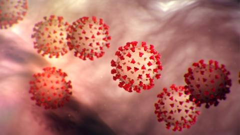 virus