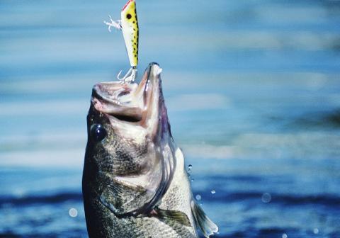 fishing