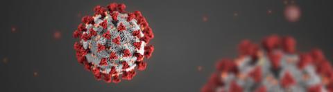 virus