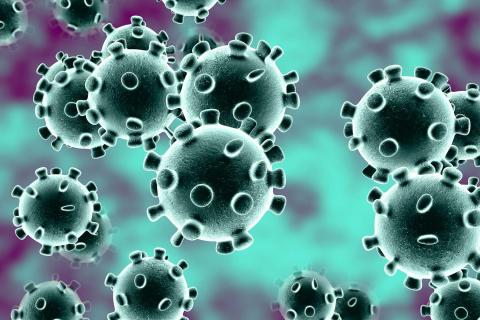 Virus