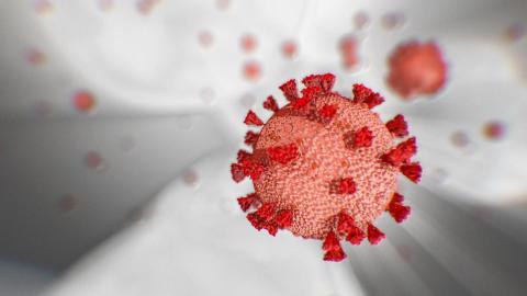 Virus