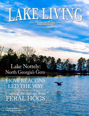 The 2019 winter edition of Lake Living