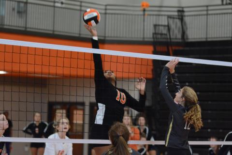 Sunshot by Grayson Williams- Nesha Alexander hits the ball at the net on Oct. 1 at Hart County High School.