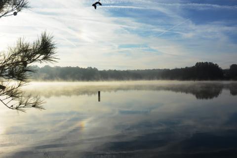 The U.S. Army Corps of Engineers released a new shoreline management plan. 