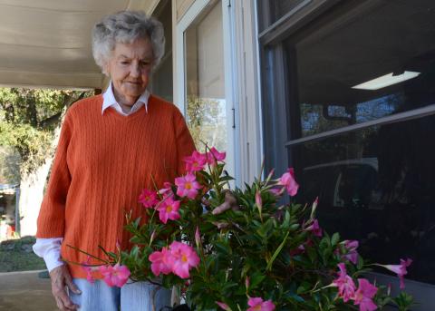 Sunshot by Michael Hall — Myra Cook looks at one of her blooming mandevillas at her home in Hartwell recently. 