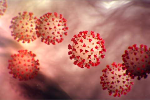 Cases of COVID-19 continue to rise locally as the first vaccine shipments arrived in Georgia this week.