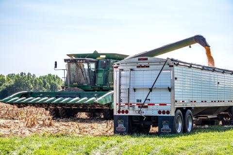 Sunshot from file by Bill Powell - Hart County farmer David King and his crew harvest corn on Labor Day in Hart County. 
